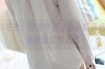 ROSI毛衣：图库中那些小小的精选，意外撩动你的心弦