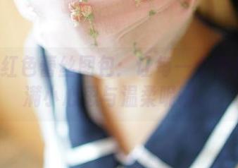 ROSI红色蕾丝图包：让每一个角落都充满小心思与温柔呢喃。