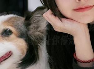 高清cos体验樱群旋转木马，撩拨眼球的一瞬间会让你停滞。