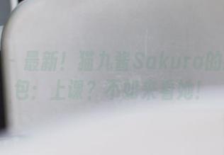 波萝社 - 最新！猫九酱Sakura的教室图包：上课？不如来看她！